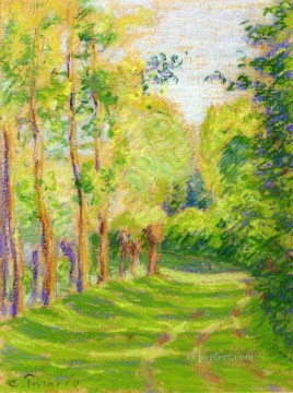  Pissarro Canvas - landscape at saint charles Camille Pissarro
